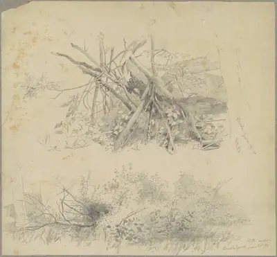 Brush; and Hudson Brush Fence