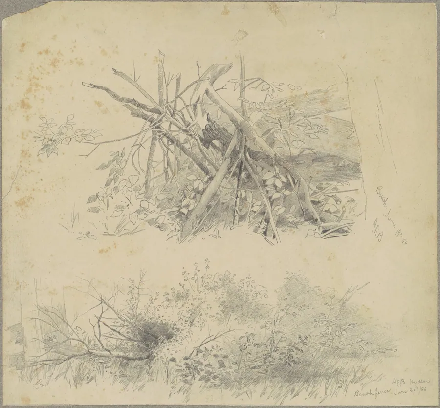 Brush; and Hudson Brush Fence by Andrew Fisher Bunner