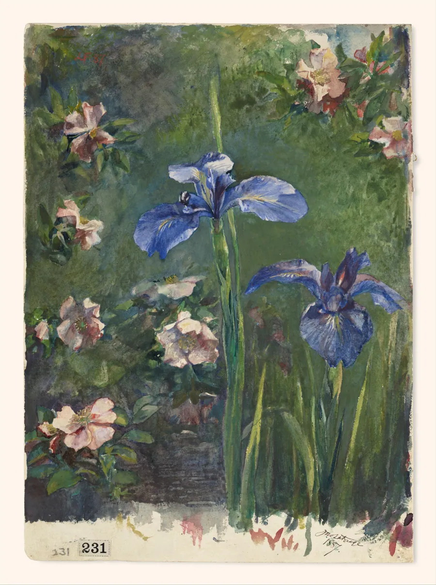 Wild Roses and Irises by John La Farge