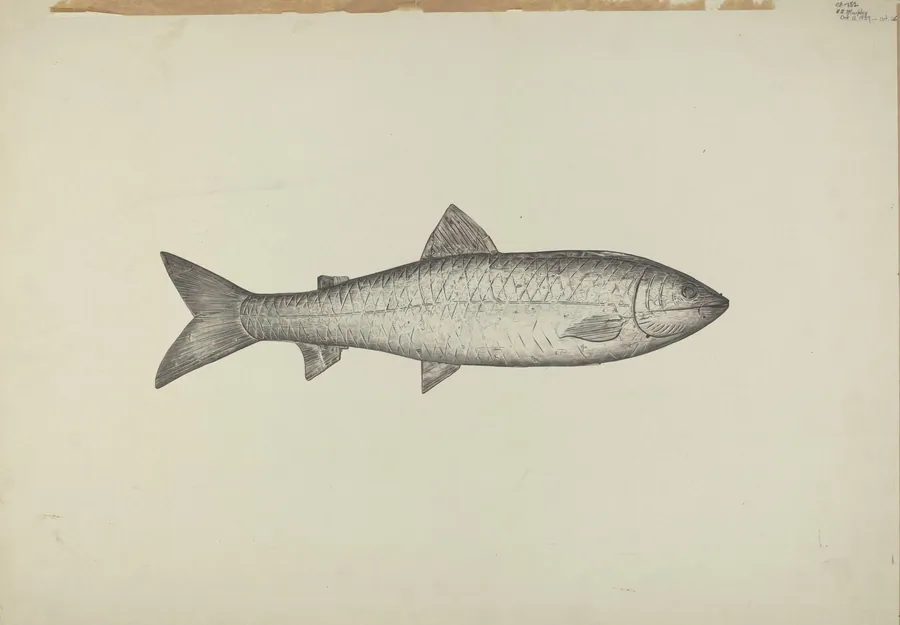 Fish Shop Sign by Henry Murphy