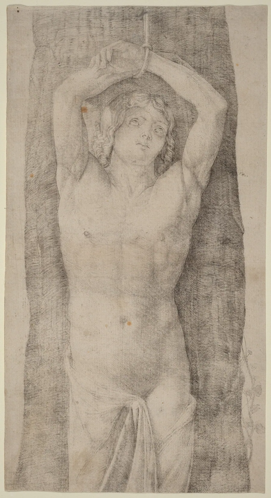 Saint Sebastian by Jacopo de' Barbari