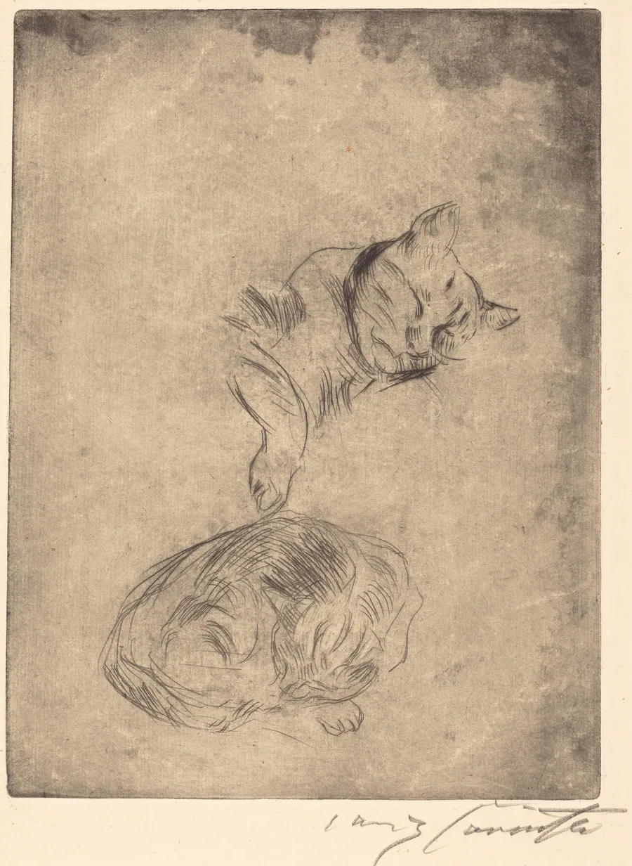Katzenstudie (Study of Cats) by Lovis Corinth