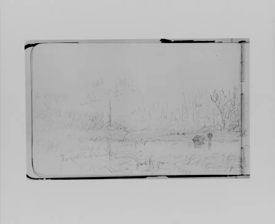 Pond and Wild Terrain, Autumn (from Sketchbook) by Albert Bierstadt