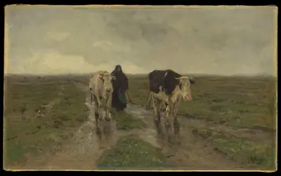 Changing Pasture
