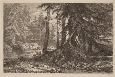 Essais de gravure à l'eau forte par Alexandre Calame, III, pl. 16