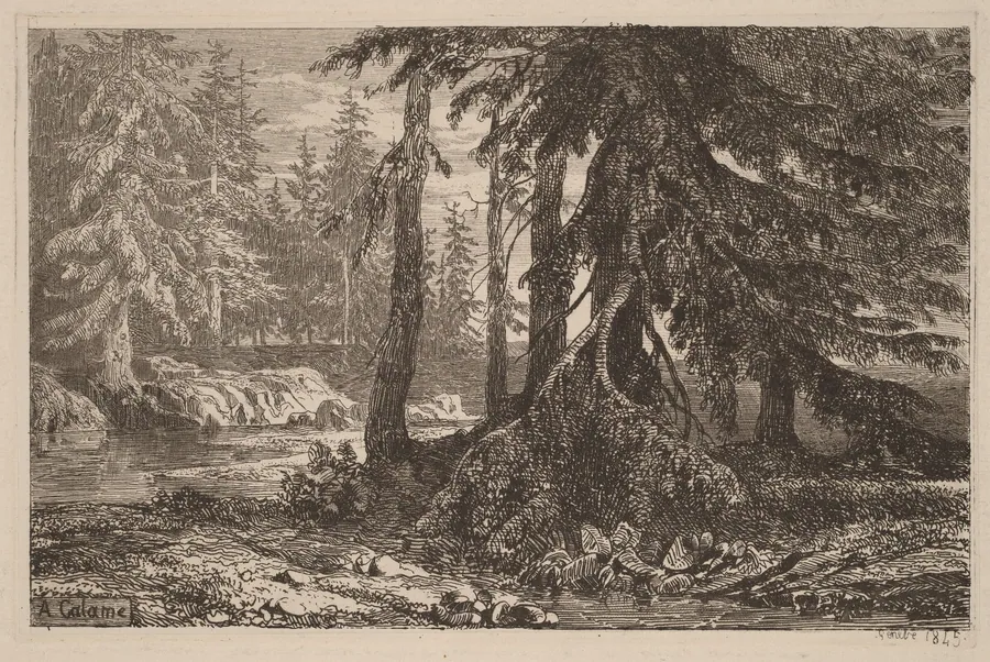 Essais de gravure à l'eau forte par Alexandre Calame, III, pl. 16 by Alexandre Calame