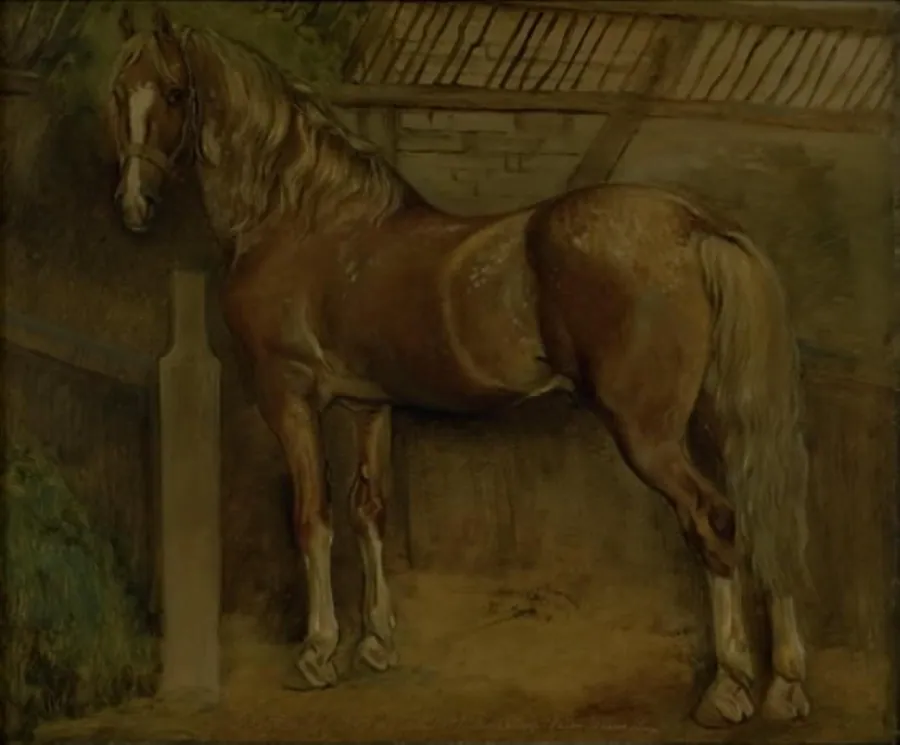 Seksten-årig hingst af Knabstrup-racen by Johan Thomas Lundbye