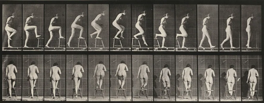 Plate Number 180. Stepping on and over a chair by Eadweard Muybridge