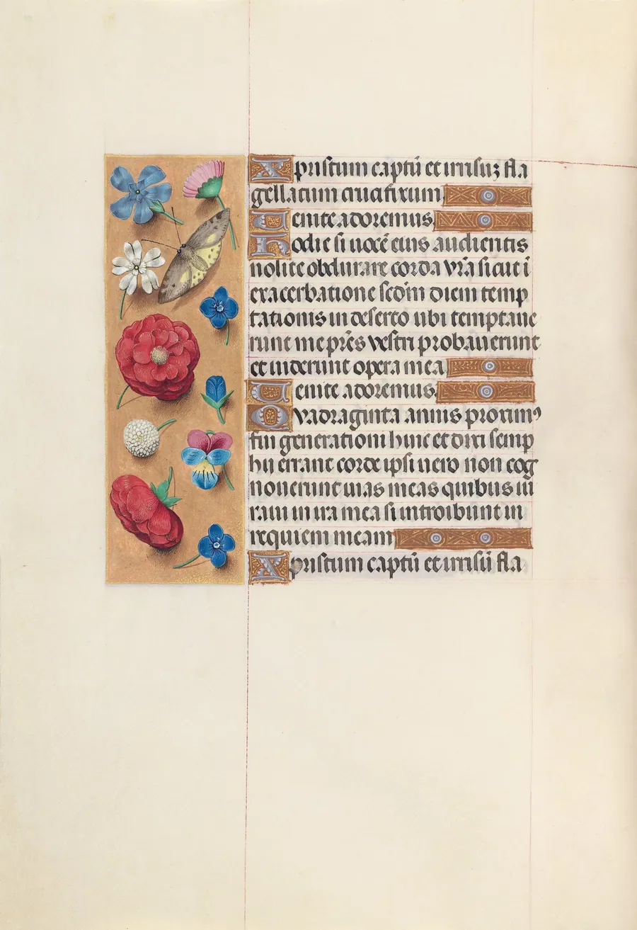 Hours of Queen Isabella the Catholic, Queen of Spain:  Fol. 51v by Master of the First Prayerbook of Maximillian