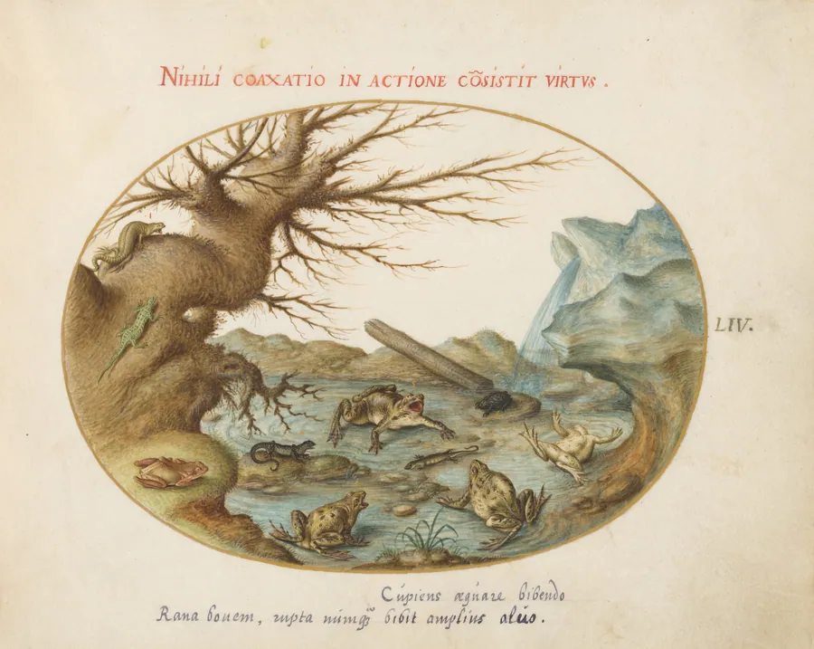 Plate 54: Frogs, Lizards, and Salamanders(?) in a Landscape by Joris Hoefnagel
