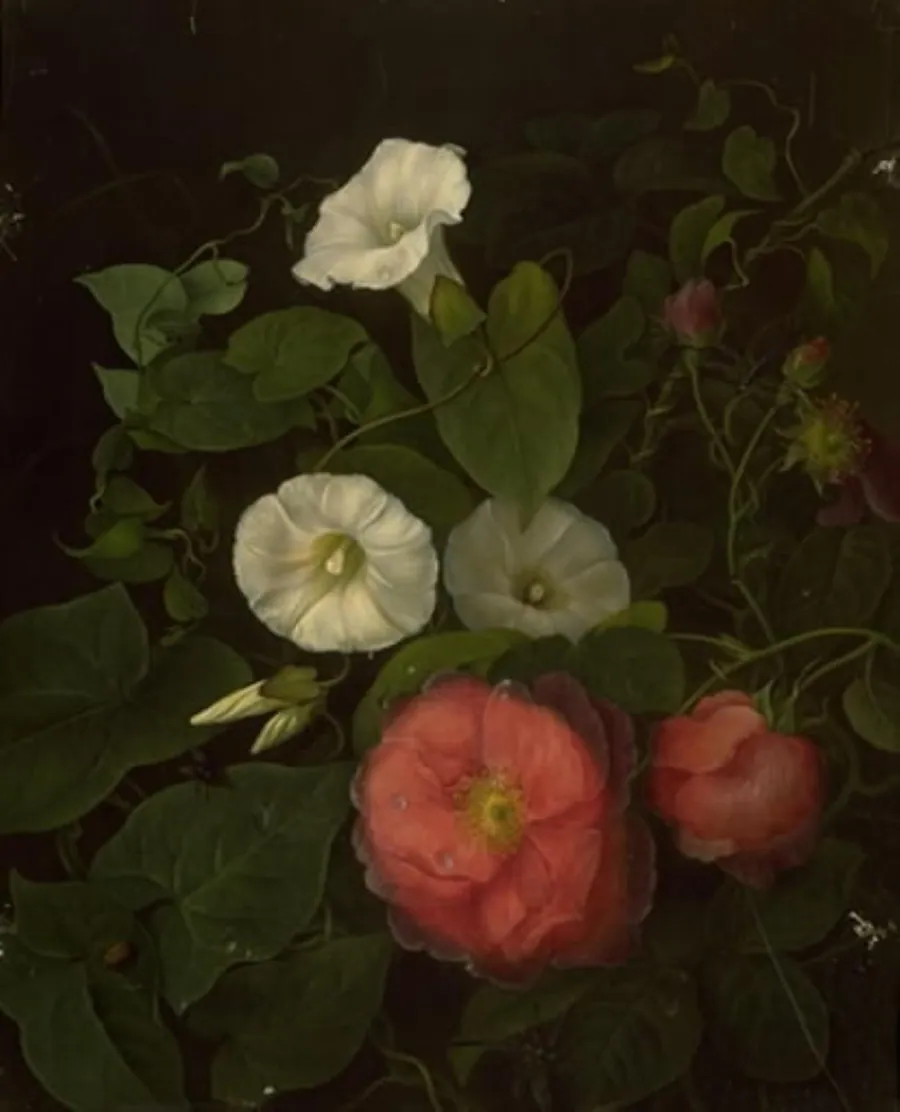 Roser og epomenea by Emma Thomsen