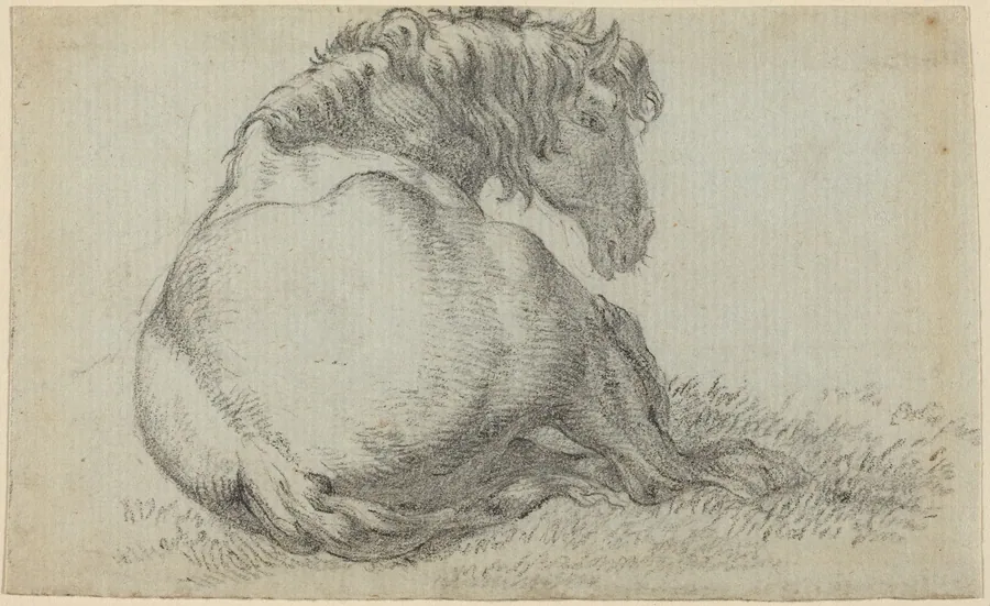 Resting Horse by Paulus Potter