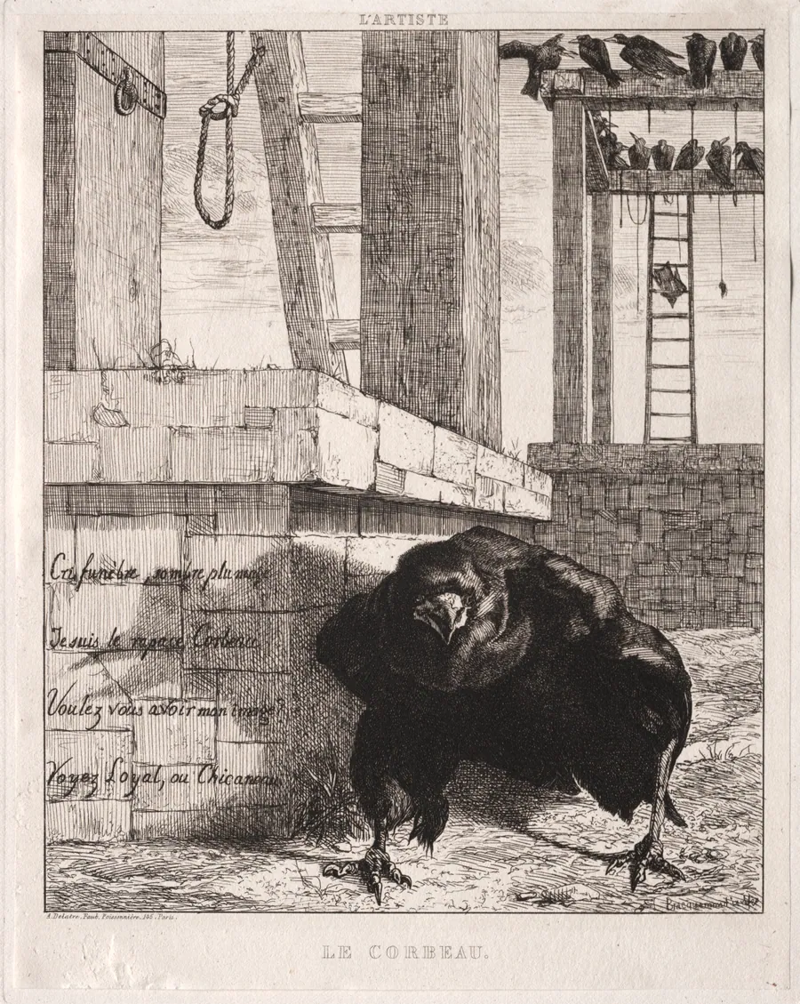 The Raven by Félix Bracquemond