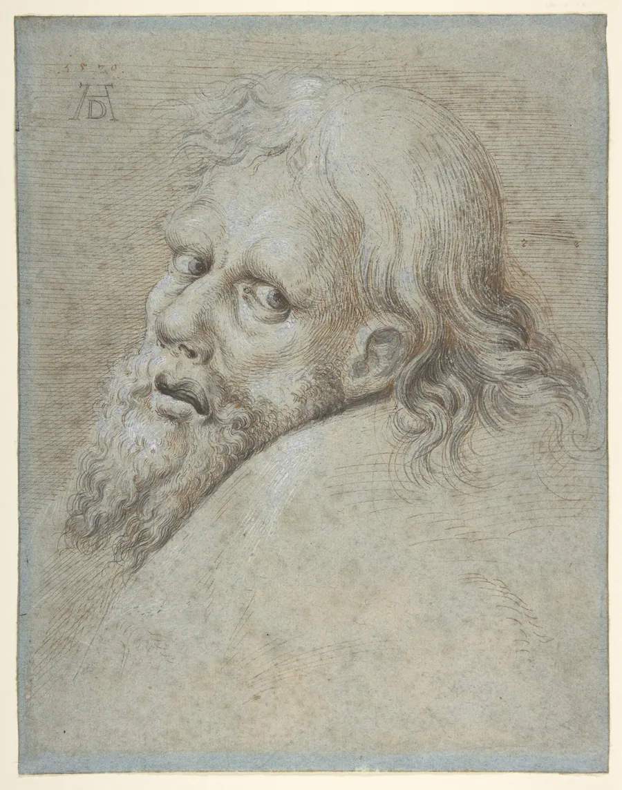 Head of a Bearded Man by Hans Hoffmann