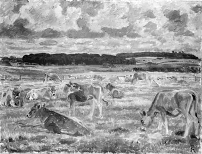 Jerseykøer
