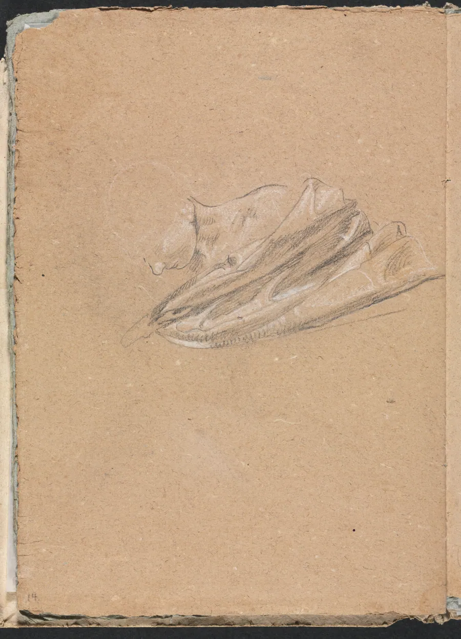 Verona Sketchbook: Head and shoulder with drapery (page 14) by Francesco Lorenzi