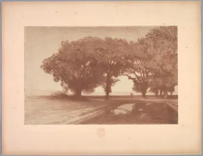 Suite de Paysages: Landscape, Plate 8, Remarque, Pansies