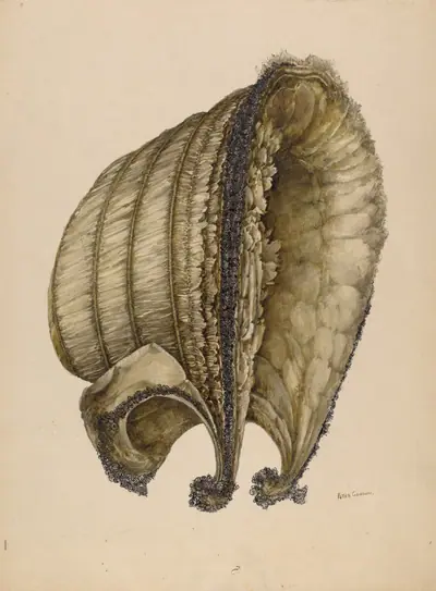 Silk Bonnet