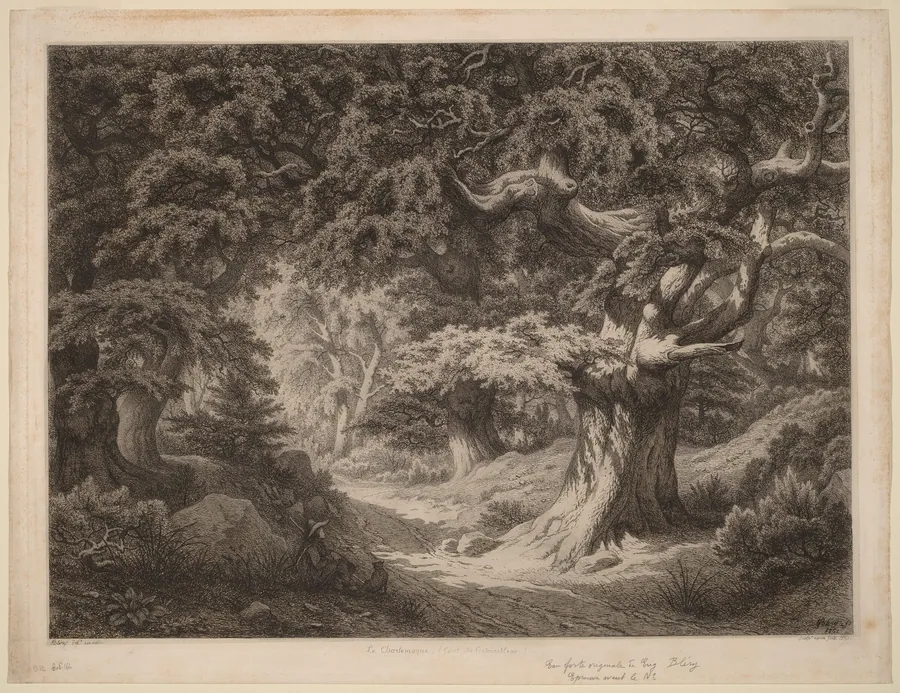 Le Charlemagne (forêt de fontainebleau) by Eugène Bléry