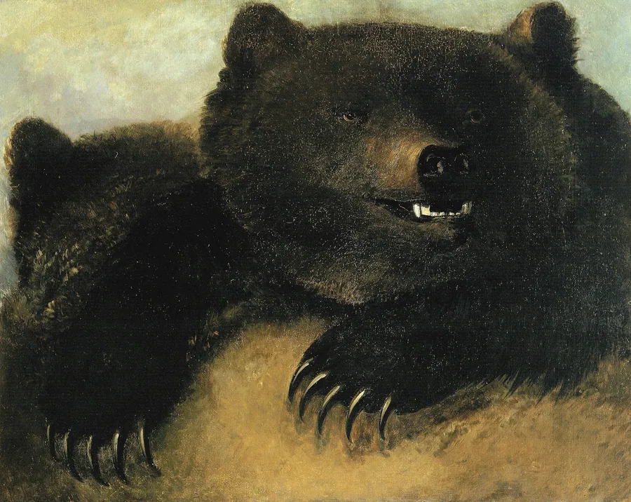 Weapons and Physiognomy of the Grizzly Bear by George Catlin, born Wilkes-Barre, PA 1796-died Jersey City, NJ 1872