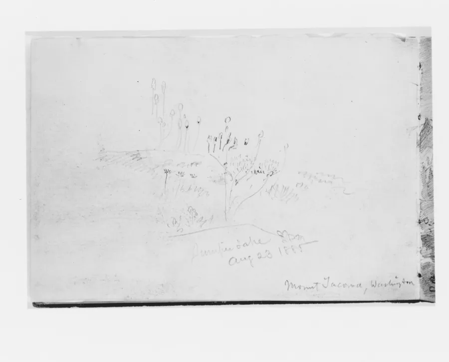 Juniper Lake Aug 23 1885, Mount Tacoma Washington (from Sketchbook X) by William Trost Richards