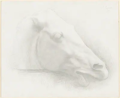 Head of a Horse from the Parthenon