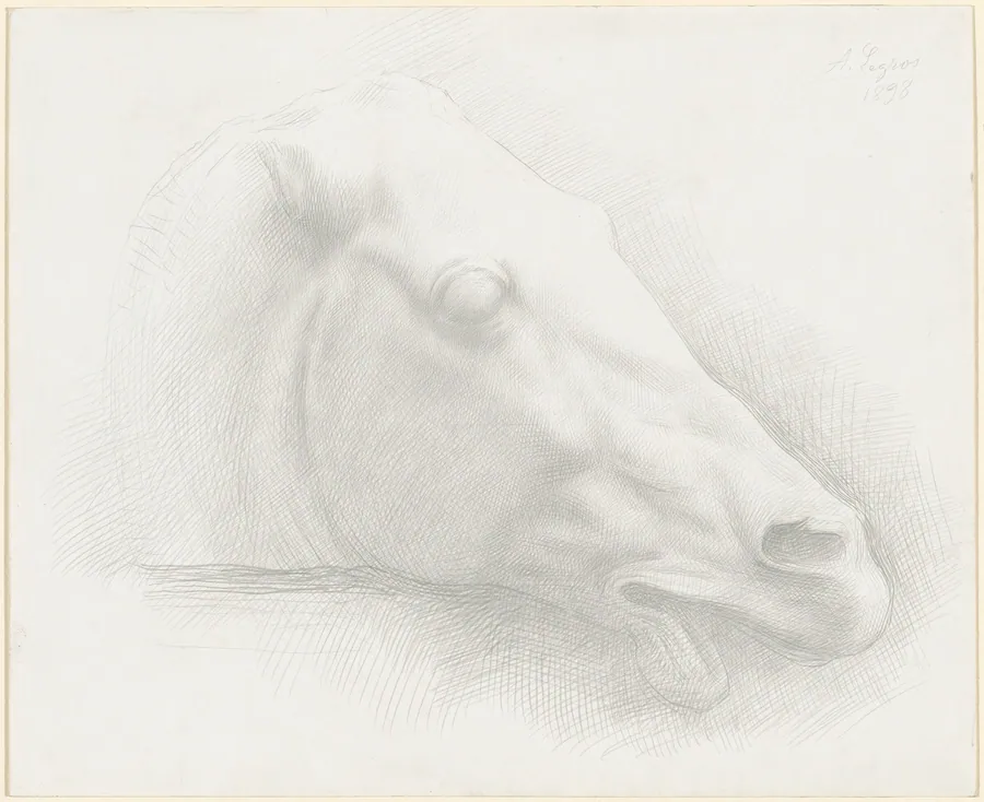 Head of a Horse from the Parthenon by Alphonse Legros