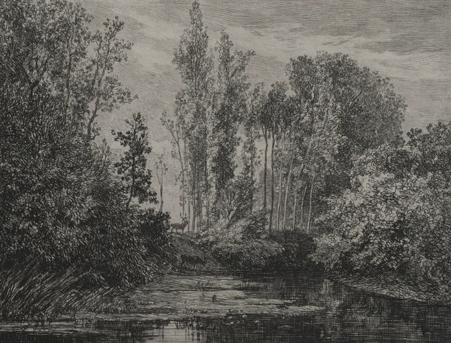 Stags at the water's edge by Charles François Daubigny