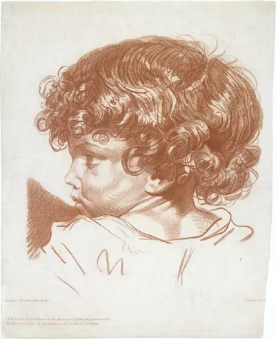 Study, Head of a Boy