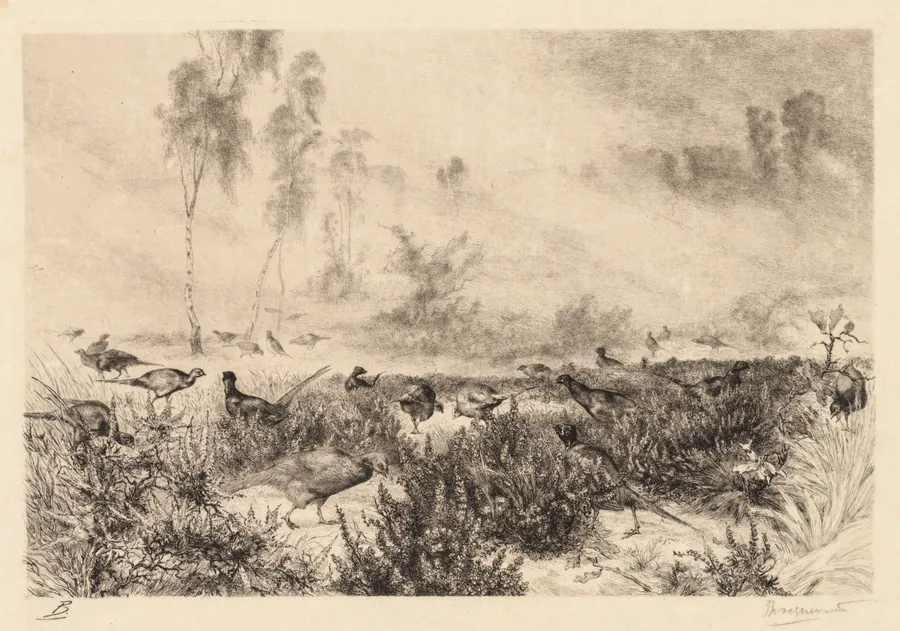 Morning Mists (Brumes de Matin) by Félix Bracquemond