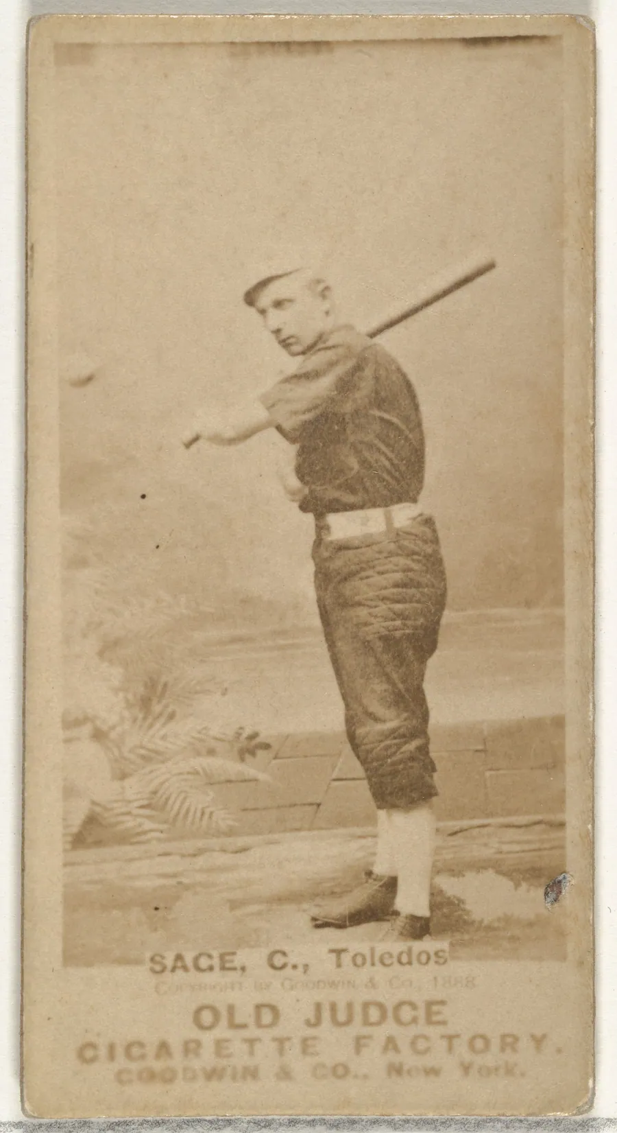 Harry "Doc" Sage, Catcher, Toledo, from the Old Judge series (N172) for Old Judge Cigarettes by Goodwin & Company