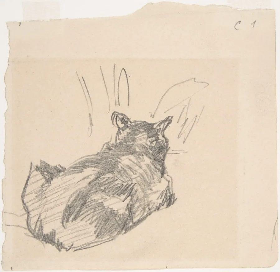 A Cat Resting on All Fours, Seen from Behind by Edouard Manet