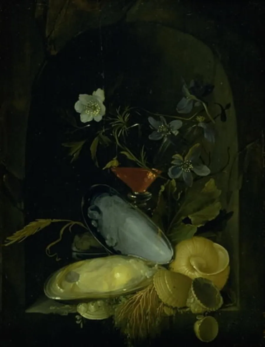 Stilleben med muslingeskaller og blå anemoner by Frans van Mieris (I)