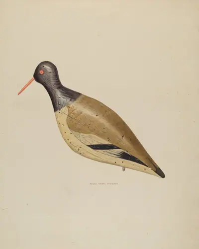 Decoy
