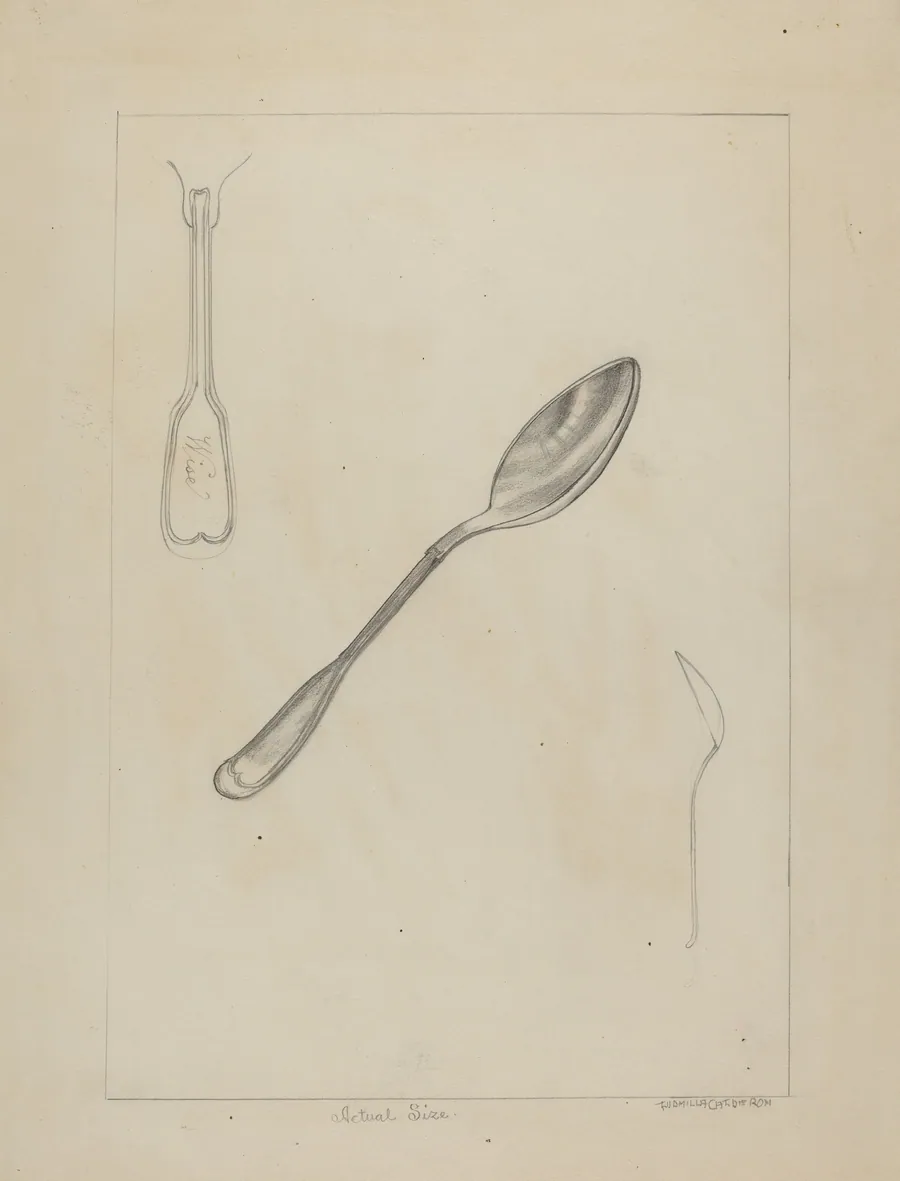 Silver Spoon by Ludmilla Calderon