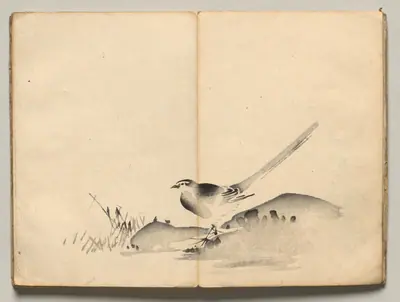 Azure-Winged Magpie from Ōkyo Picture Book