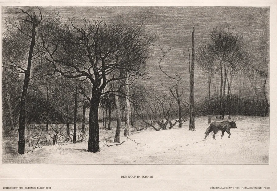 Winter by Félix Bracquemond