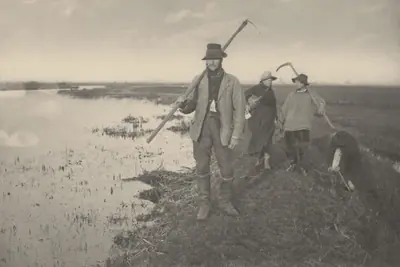 Coming Home from the Marshes
