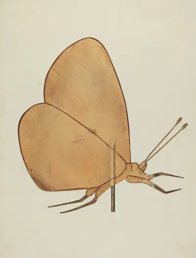 Butterfly Weather Vane