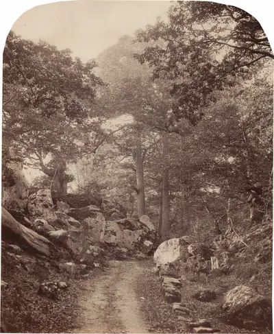 Fontainebleau