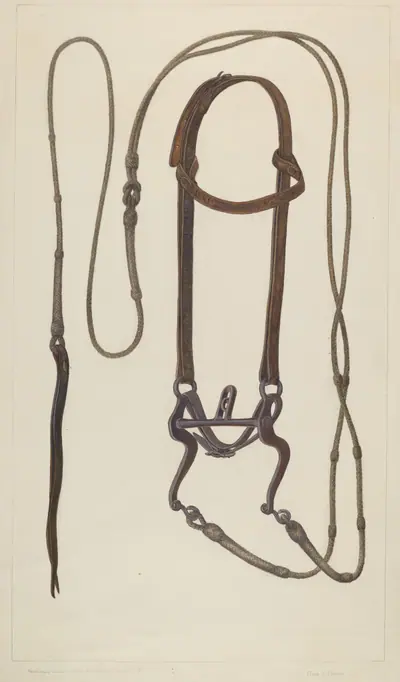 Bridle with Braided Rawhide Reins