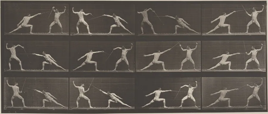 Plate Number 349. Fencing by Eadweard Muybridge