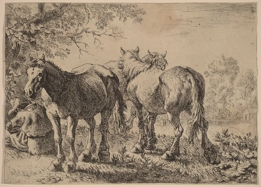 Three Horses in a Field by Pieter van Laer