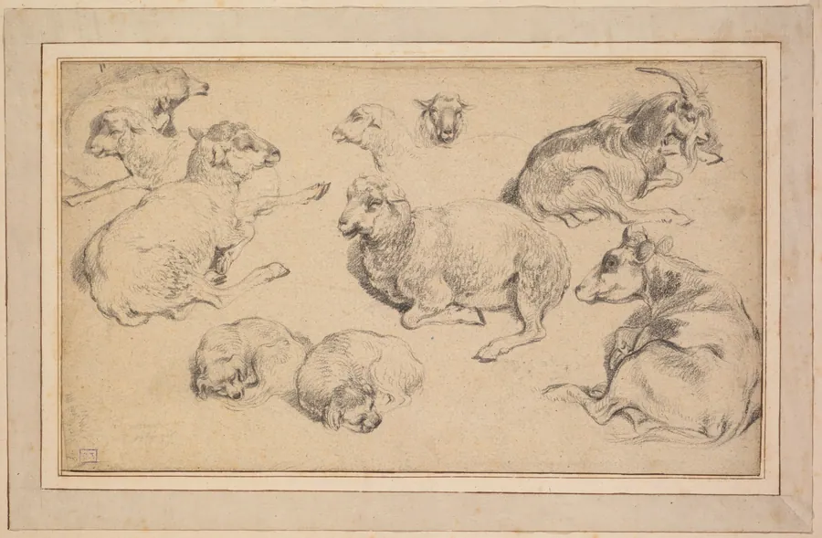 Sheet of Studies with Sheep, Goats, and Dogs by Jean-Baptiste Marie Hüet