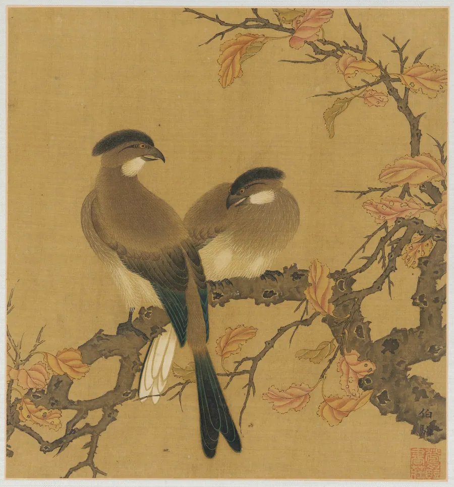 Two crested birds on a branch; autumn leaves by Formerly attributed to Zhao Boju (ca. 1120s-ca.1162)