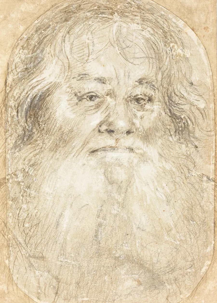 Study of a Bearded Man [verso] by Hans Holbein the Elder