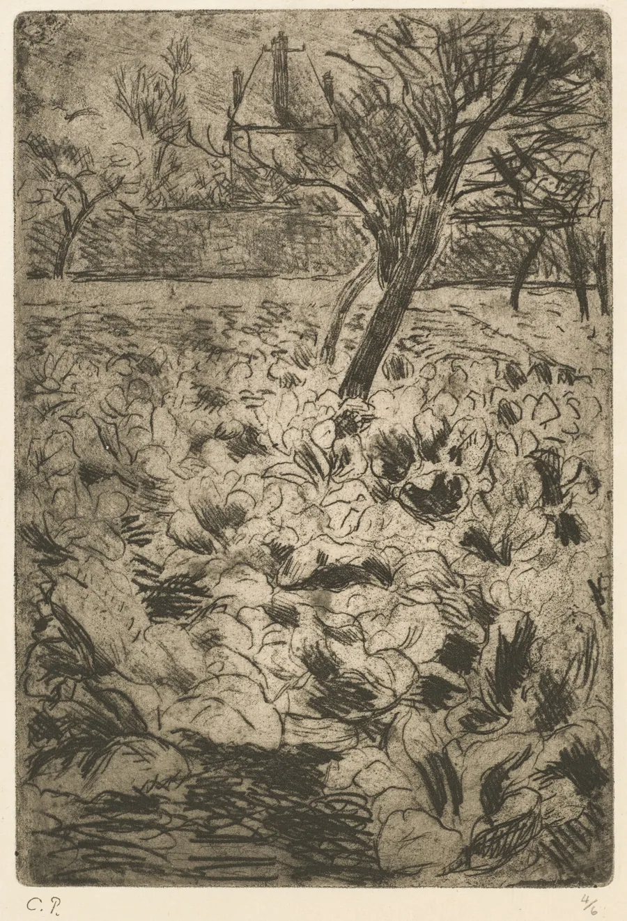 The Cabbage Field (Le Champ de choux) by Camille Pissarro