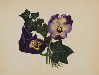 Untitled (Pansies and Ivy)