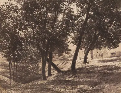 Trees