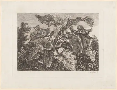 Plant Study with Burdock